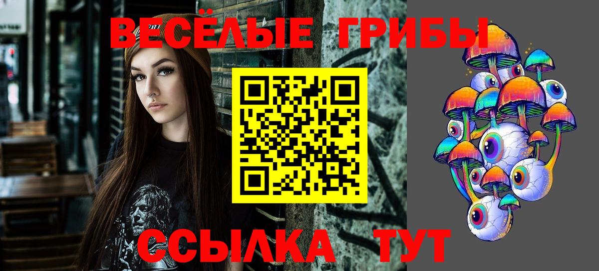 Псилоцибиновые грибы Cubensis Ставрополь