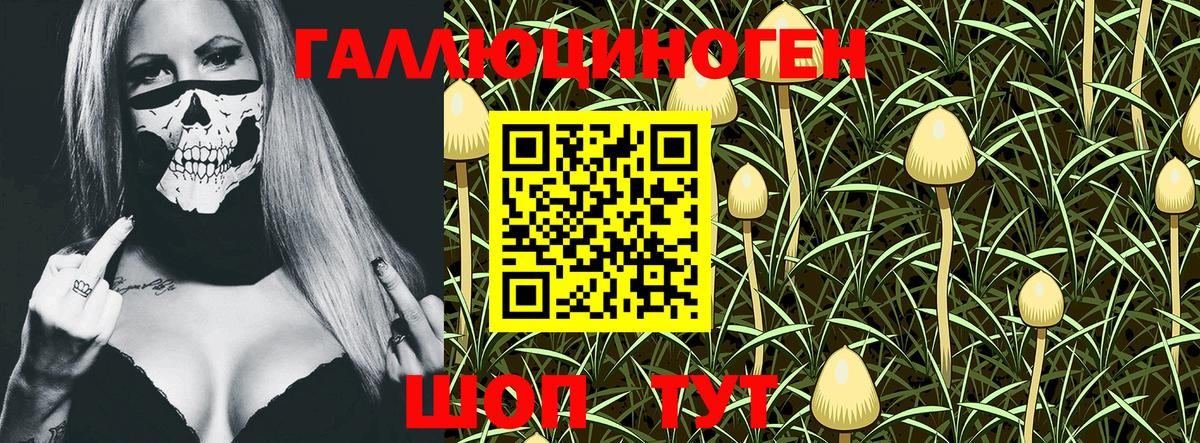 Ставрополь  Псилоцибиновые грибы Psilocybe  Вход с VPN 